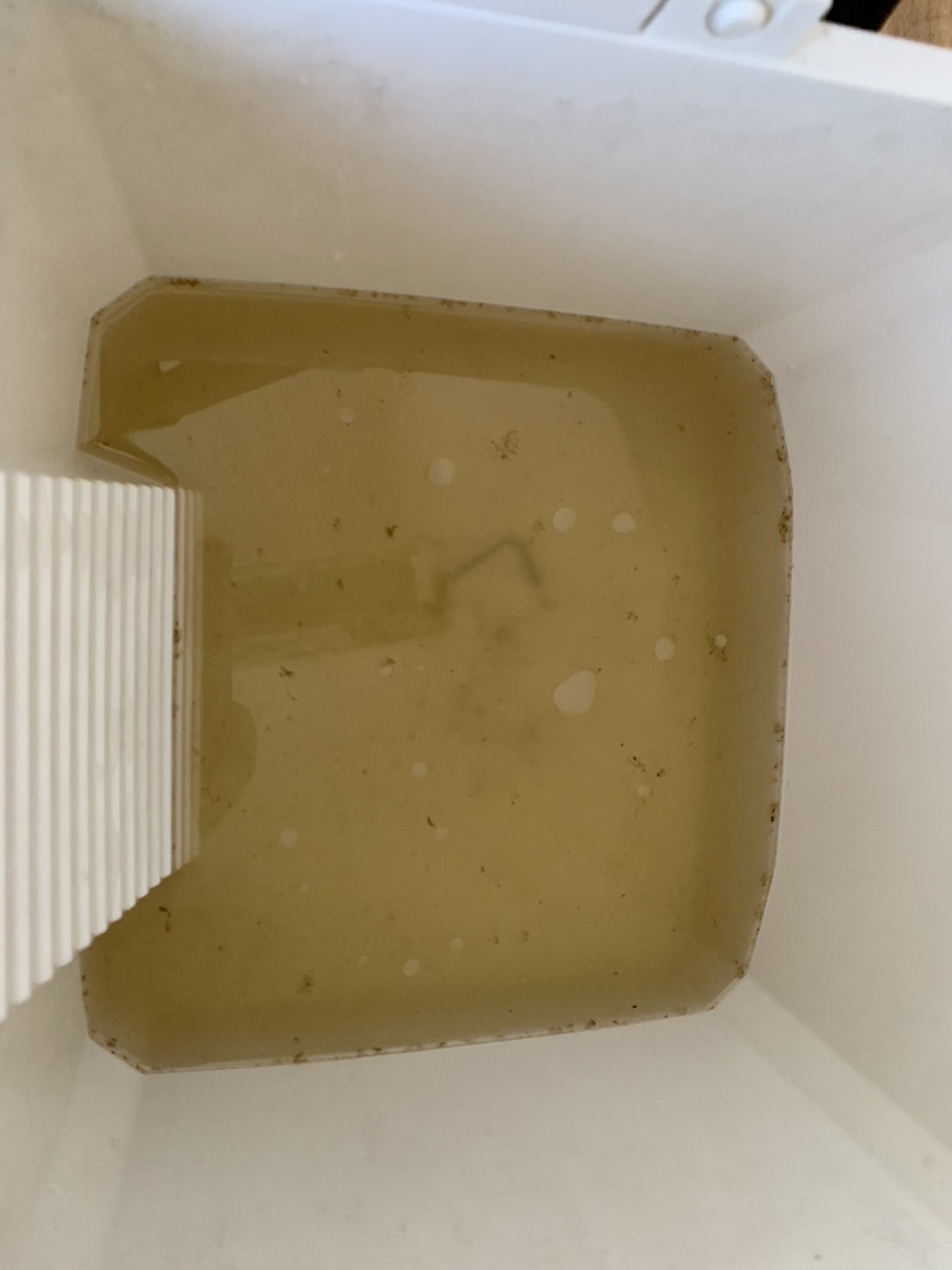 伊丹市大鹿のエアコンクリーニング 洗浄後汚水 日立 RAS-AJ25J